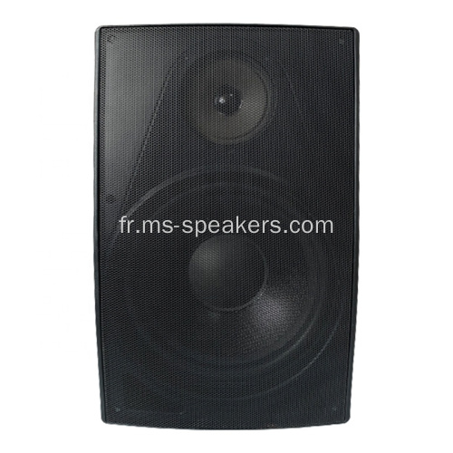 Enceinte suspendue murale de 100W